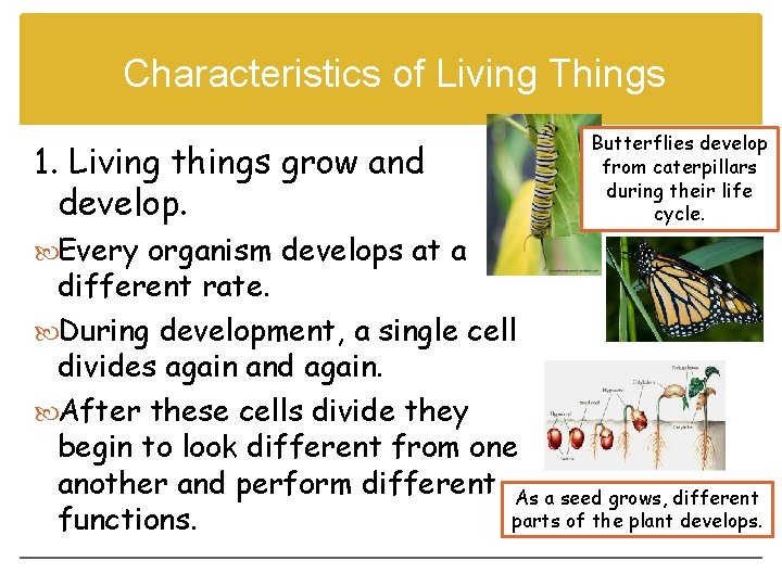 Characteristics of Living Things 1. Living things grow and develop. Every organism develops at