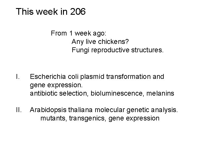 This week in 206 From 1 week ago: Any live chickens? Fungi reproductive structures.