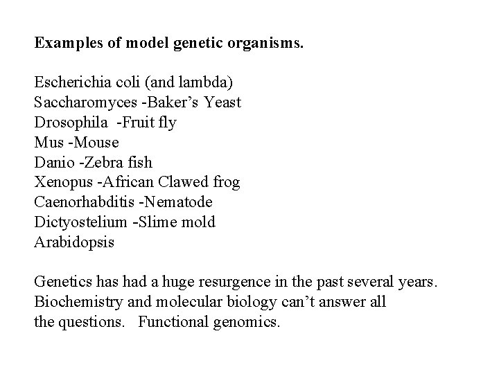 Examples of model genetic organisms. Escherichia coli (and lambda) Saccharomyces -Baker’s Yeast Drosophila -Fruit