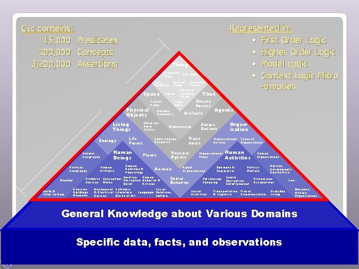 Cyc contains: 15, 000 Predicates 300, 000 Concepts 3, 200, 000 Assertions Represented in: