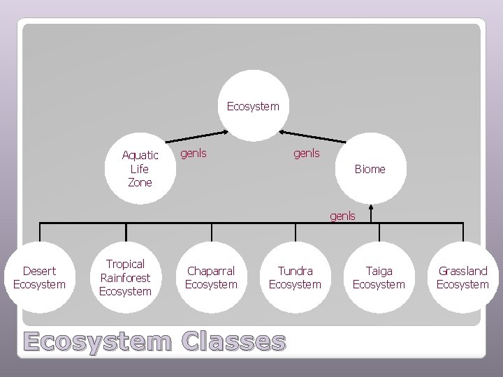 Ecosystem Aquatic Life Zone genls Biome genls Desert Ecosystem Tropical Rainforest Ecosystem Chaparral Ecosystem