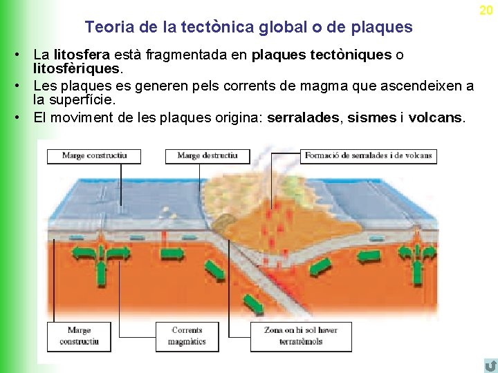 20 Teoria de la tectònica global o de plaques • La litosfera està fragmentada