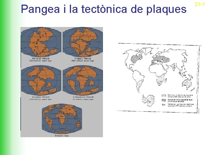 Pangea i la tectònica de plaques 21 -1 