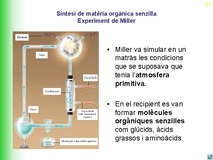 27 Síntesi de matèria orgànica senzilla Experiment de Miller • Miller va simular en