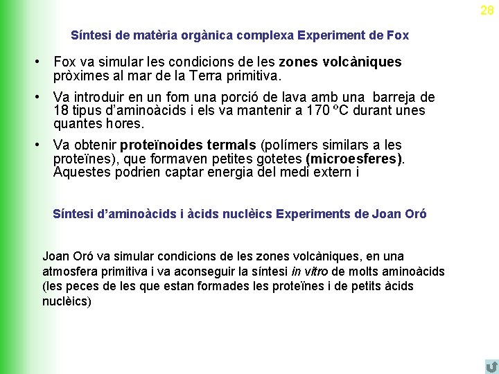 28 Síntesi de matèria orgànica complexa Experiment de Fox • Fox va simular les