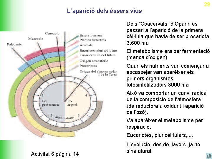 29 L’aparició dels éssers vius Dels “Coacervats” d’Oparin es passari a l’aparició de la