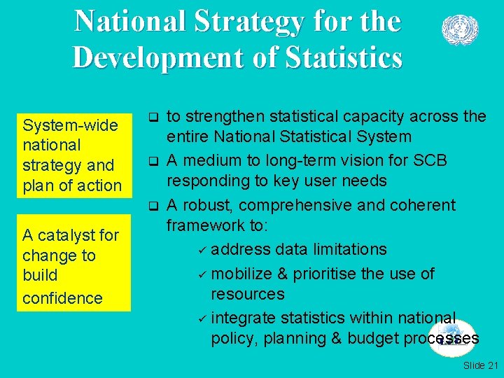 National Strategy for the Development of Statistics System-wide national strategy and plan of action