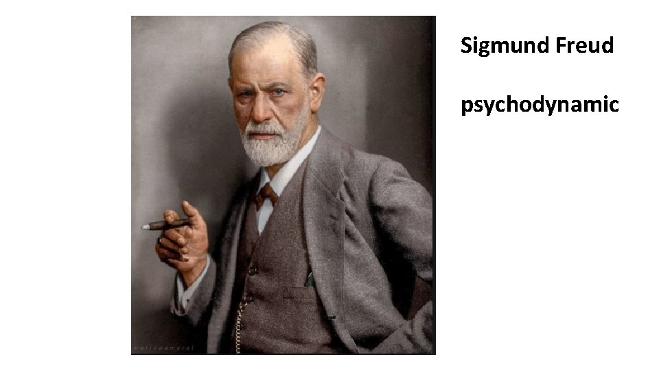 Sigmund Freud psychodynamic 