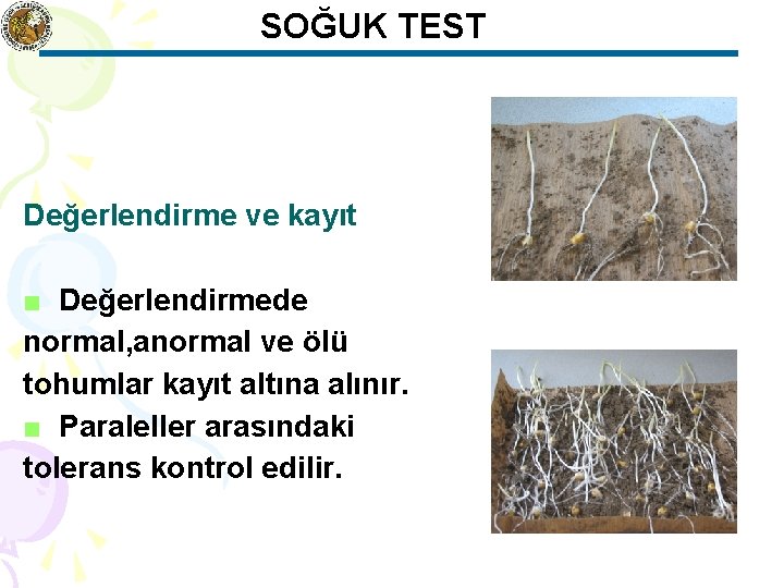 SOĞUK TEST Değerlendirme ve kayıt ■ Değerlendirmede normal, anormal ve ölü tohumlar kayıt altına