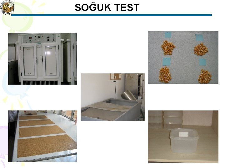 SOĞUK TEST 