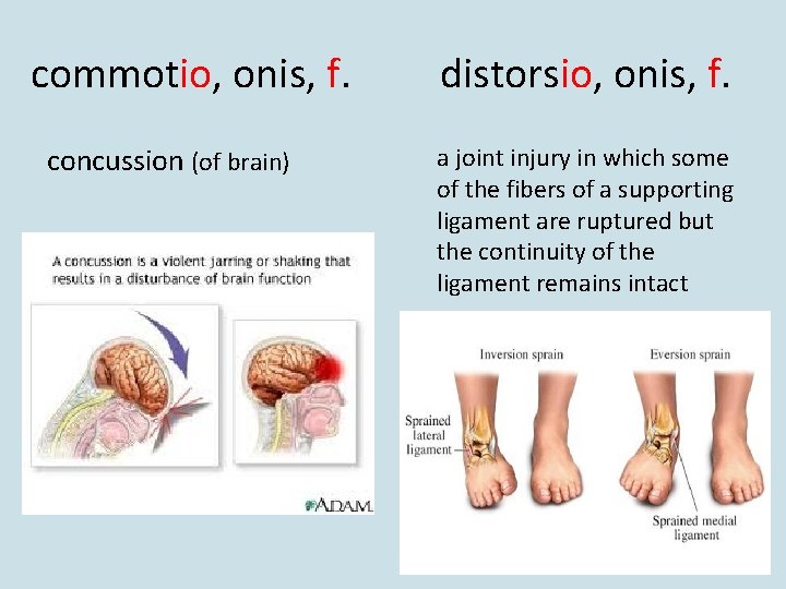 commotio, onis, f. concussion (of brain) distorsio, onis, f. a joint injury in which