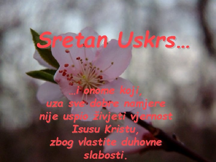 Sretan Uskrs… …i onome koji, uza sve dobre namjere nije uspio živjeti vjernost Isusu