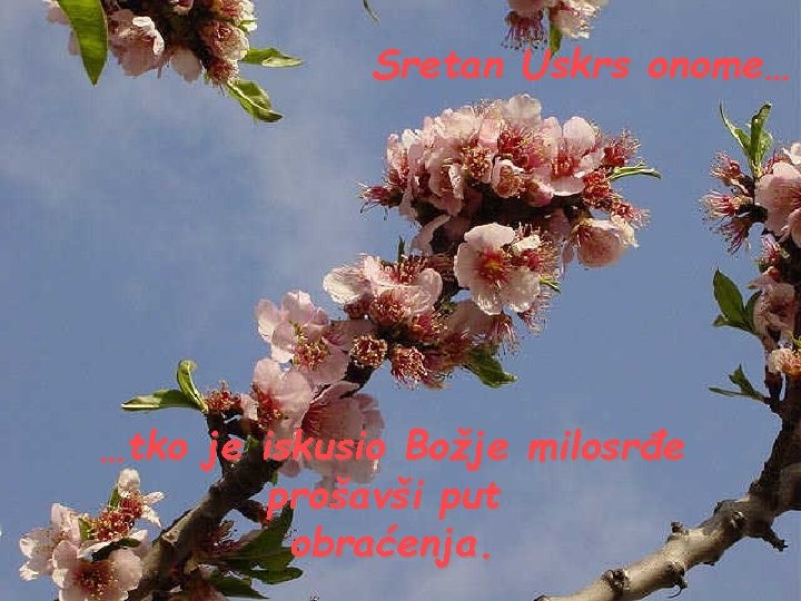 Sretan Uskrs onome… …tko je iskusio Božje milosrđe prošavši put obraćenja. 