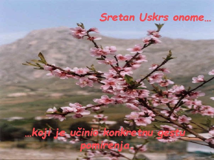 Sretan Uskrs onome… …koji je učinio konkretnu gestu pomirenja. 