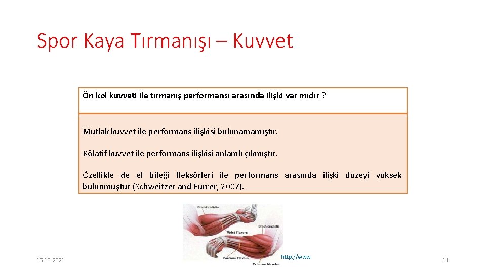 Spor Kaya Tırmanışı – Kuvvet Ön kol kuvveti ile tırmanış performansı arasında ilişki var