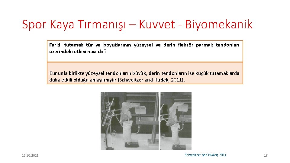 Spor Kaya Tırmanışı – Kuvvet - Biyomekanik Farklı tutamak tür ve boyutlarının yüzeysel ve Spor Kaya Tırmanışı – Kuvvet - Biyomekanik Farklı tutamak tür ve boyutlarının yüzeysel ve