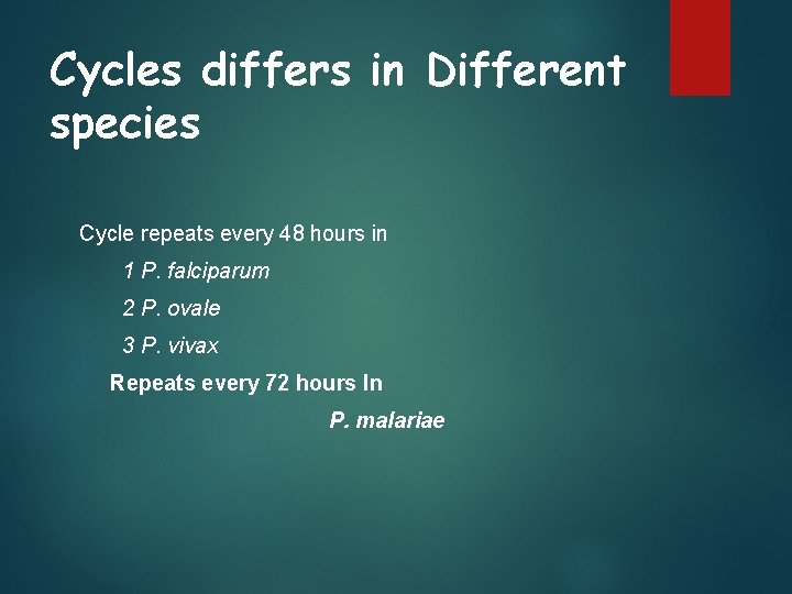 Cycles differs in Different species Cycle repeats every 48 hours in 1 P. falciparum