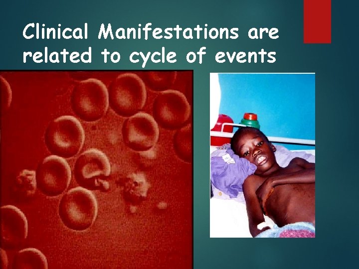 Clinical Manifestations are related to cycle of events in relation to RBC 