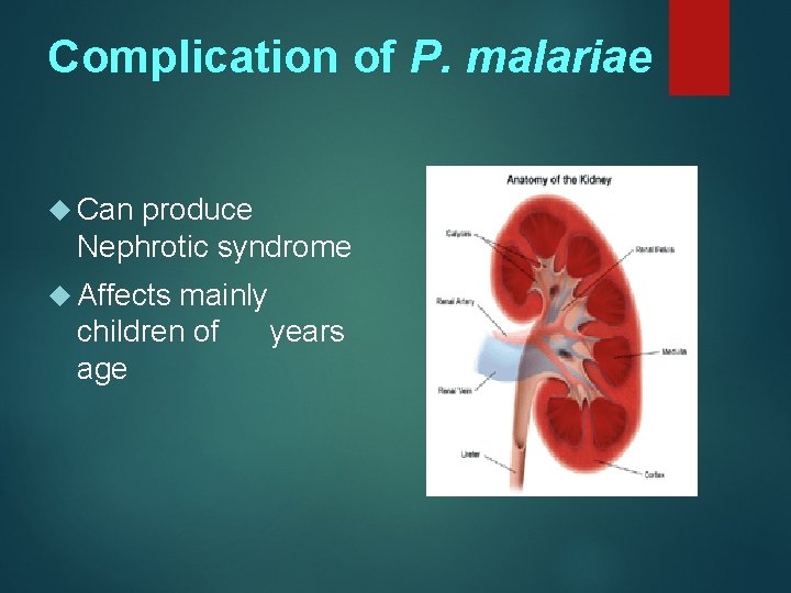 Complication of P. malariae Can produce Nephrotic syndrome Affects mainly children of years age