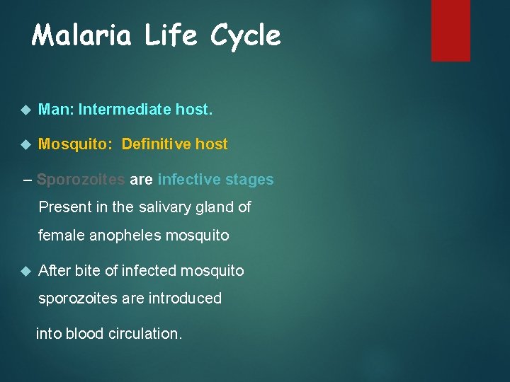 Malaria Life Cycle Man: Intermediate host. Mosquito: Definitive host – Sporozoites are infective stages