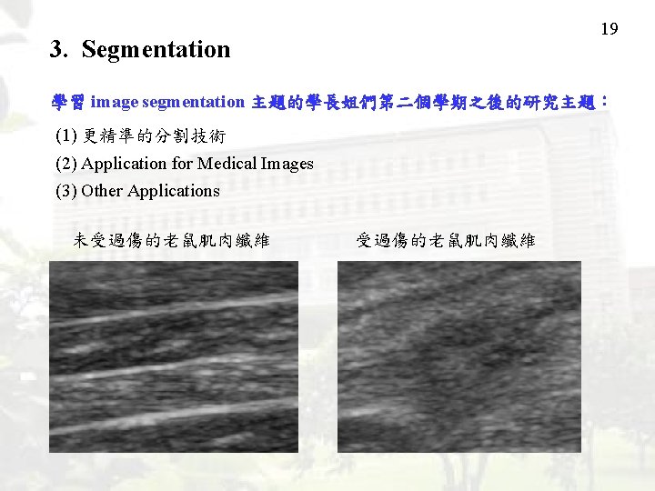 19 3. Segmentation 學習 image segmentation 主題的學長姐們第二個學期之後的研究主題： (1) 更精準的分割技術 (2) Application for Medical Images