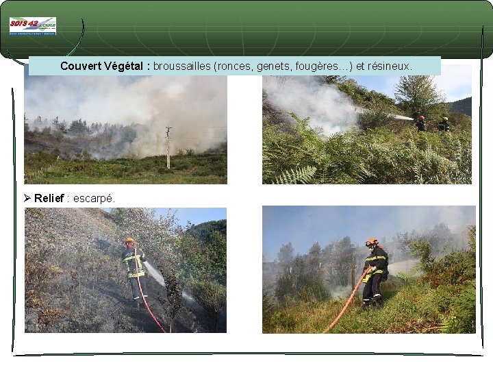 Couvert Végétal : broussailles (ronces, genets, fougères…) et résineux. Ø Relief : escarpé. Couvert Végétal : broussailles (ronces, genets, fougères…) et résineux. Ø Relief : escarpé.