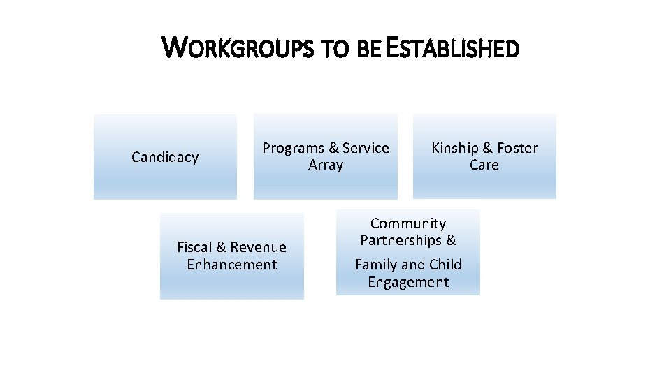 WORKGROUPS TO BE ESTABLISHED Candidacy Programs & Service Array Fiscal & Revenue Enhancement Kinship