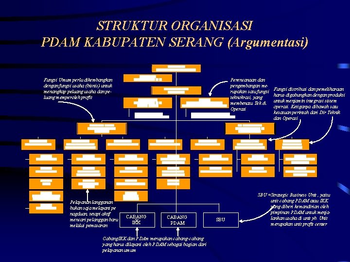 STRUKTUR ORGANISASI PDAM KABUPATEN SERANG (Argumentasi) Fungsi Umum perlu dikembangkan dengan fungsi usaha (bisnis)