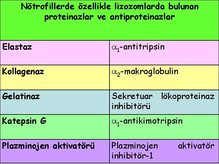 Nötrofillerde özellikle lizozomlarda bulunan proteinazlar ve antiproteinazlar Elastaz 1 -antitripsin Kollagenaz 2 -makroglobulin Gelatinaz