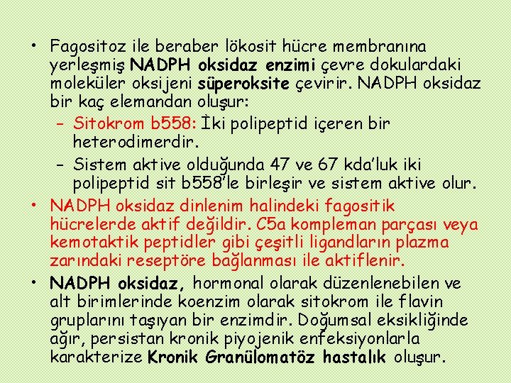  • Fagositoz ile beraber lökosit hücre membranına yerleşmiş NADPH oksidaz enzimi çevre dokulardaki