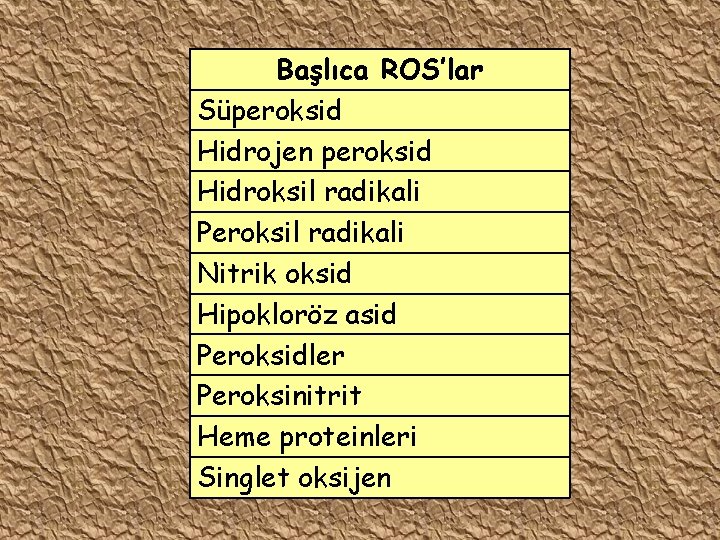 Başlıca ROS’lar Süperoksid Hidrojen peroksid Hidroksil radikali Peroksil radikali Nitrik oksid Hipokloröz asid Peroksidler