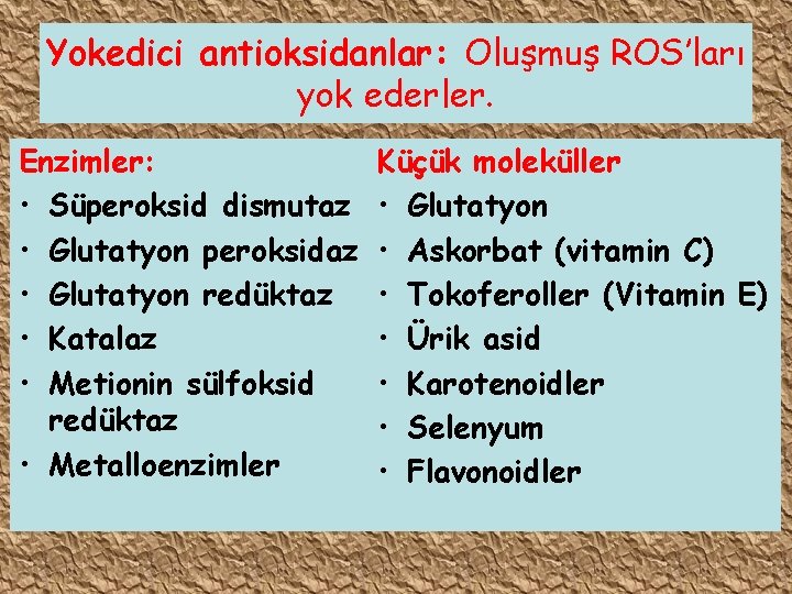 Yokedici antioksidanlar: Oluşmuş ROS’ları yok ederler. Enzimler: • Süperoksid dismutaz • Glutatyon peroksidaz •