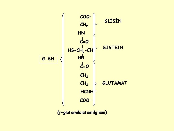 COOCH 2 GLİSİN HN C=O HS-CH 2 -CH G-SH SİSTEİN HN C=O CH CH