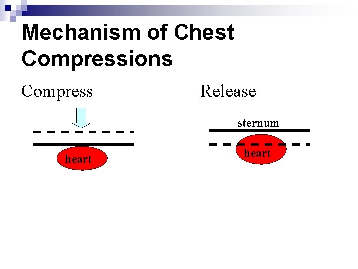 Mechanism of Chest Compressions Compress Release sternum heart 