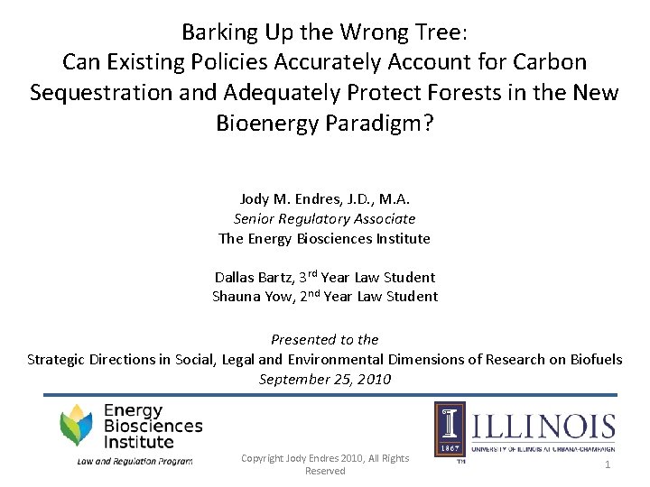 Barking Up the Wrong Tree: Can Existing Policies Accurately Account for Carbon Sequestration and