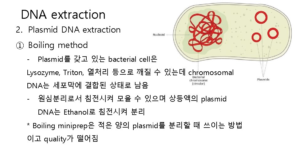 DNA extraction 2. Plasmid DNA extraction ① Boiling method - Plasmid를 갖고 있는 bacterial