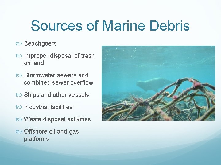 Sources of Marine Debris Beachgoers Improper disposal of trash on land Stormwater sewers and