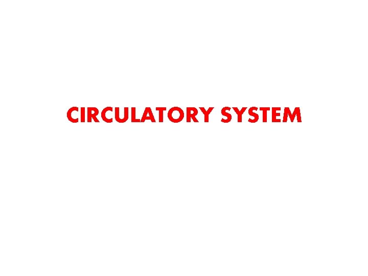 CIRCULATORY SYSTEM 