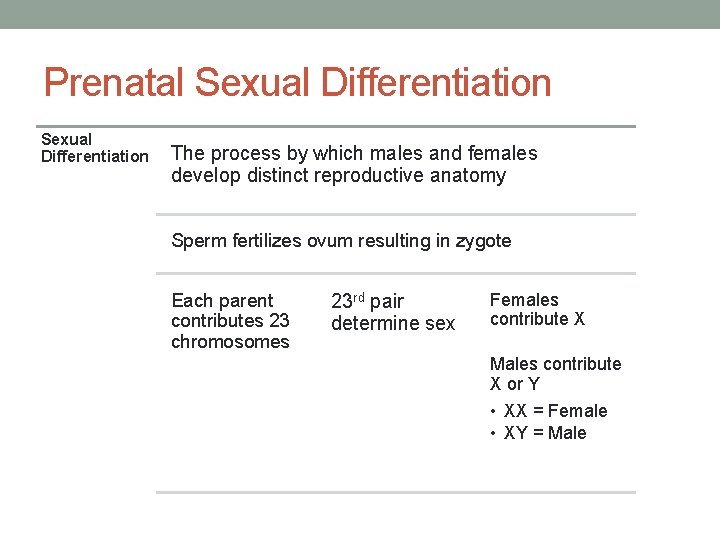 Prenatal Sexual Differentiation The process by which males and females develop distinct reproductive anatomy
