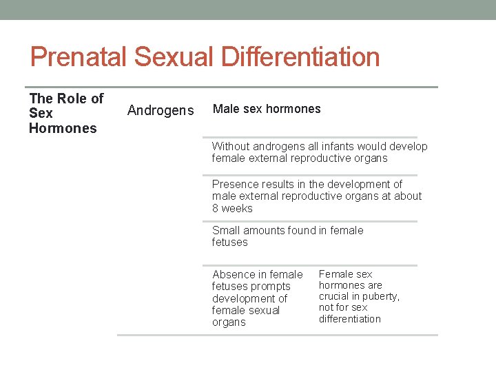 Prenatal Sexual Differentiation The Role of Sex Hormones Androgens Male sex hormones Without androgens