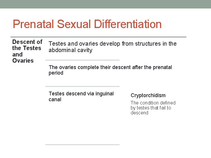 Prenatal Sexual Differentiation Descent of the Testes and Ovaries Testes and ovaries develop from