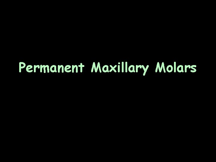 Permanent Maxillary Molars 