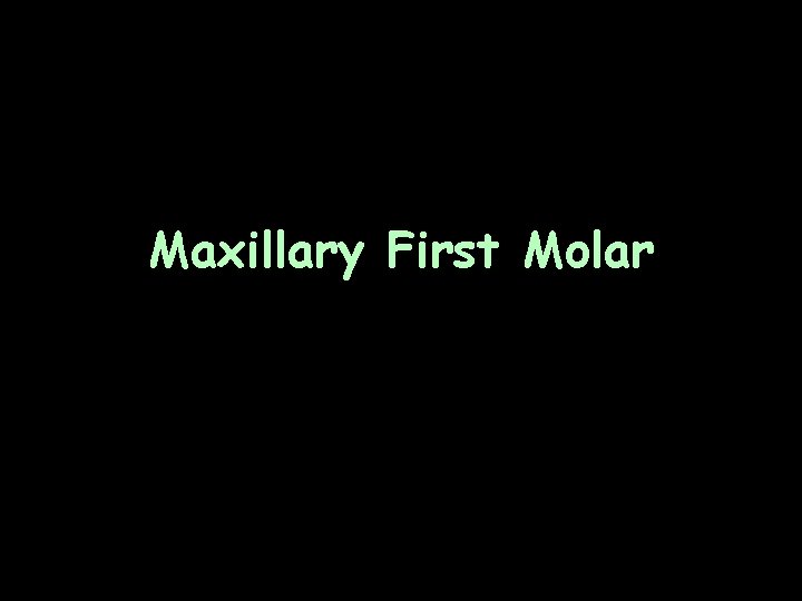 Maxillary First Molar 