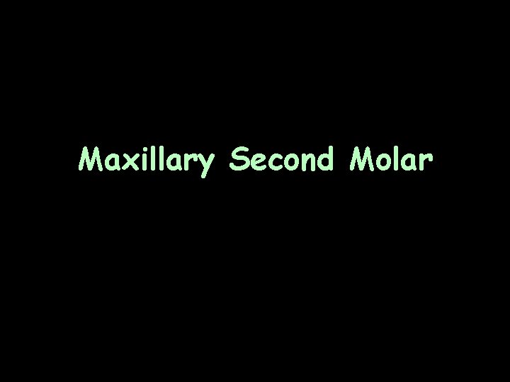 Maxillary Second Molar 