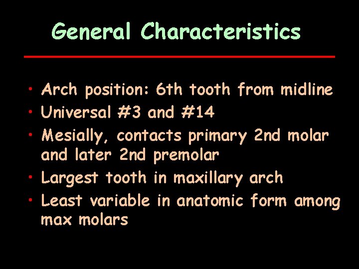 General Characteristics • Arch position: 6 th tooth from midline • Universal #3 and