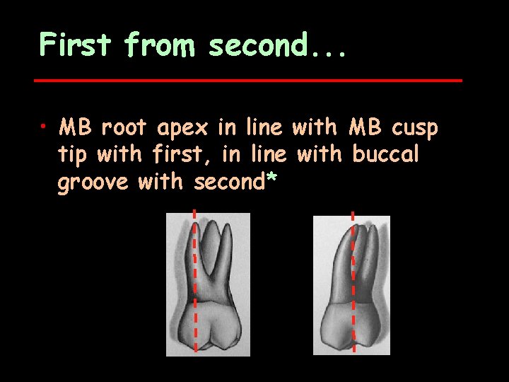 First from second. . . • MB root apex in line with MB cusp