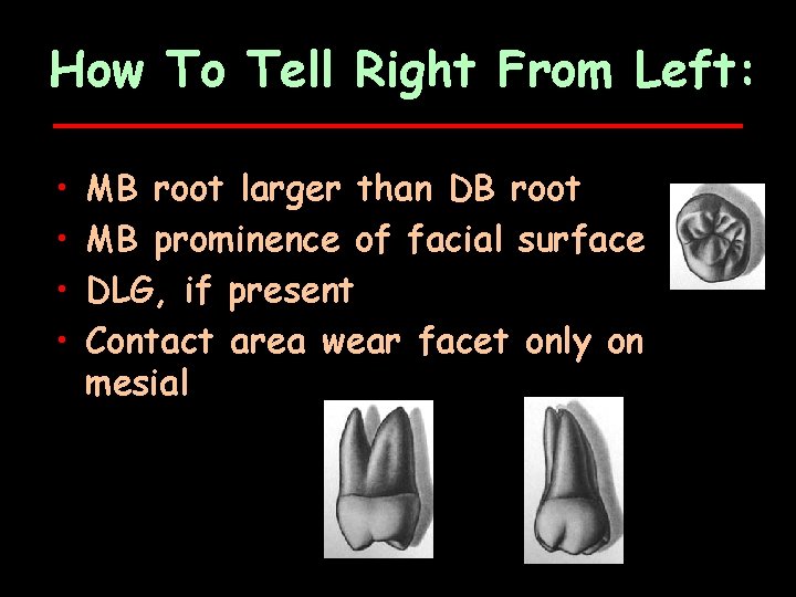 How To Tell Right From Left: • • MB root larger than DB root