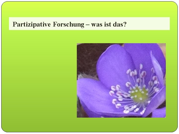 Partizipative Forschung – was ist das? 