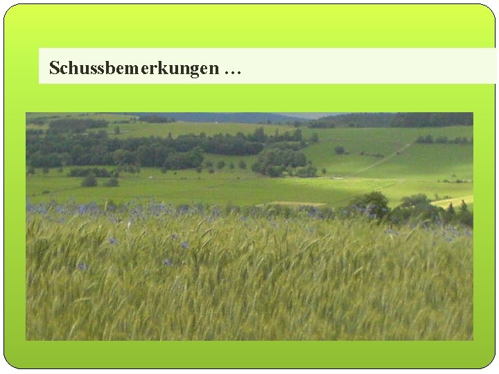 Schussbemerkungen … 