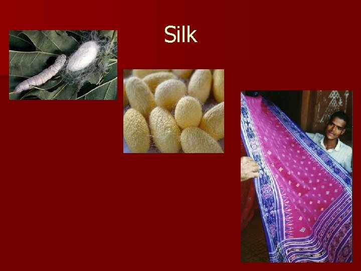 Silk 